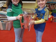 liam-mccarthy-cup-56